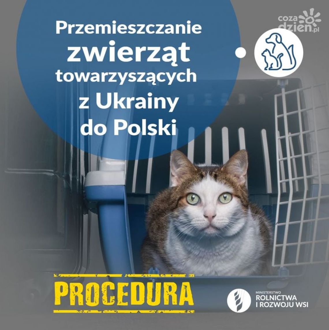Przemieszczanie się zwierząt z uchodźcami monitoruje m.in. Powiatowy Inspektorat Weterynaryjny w Ciechanowie