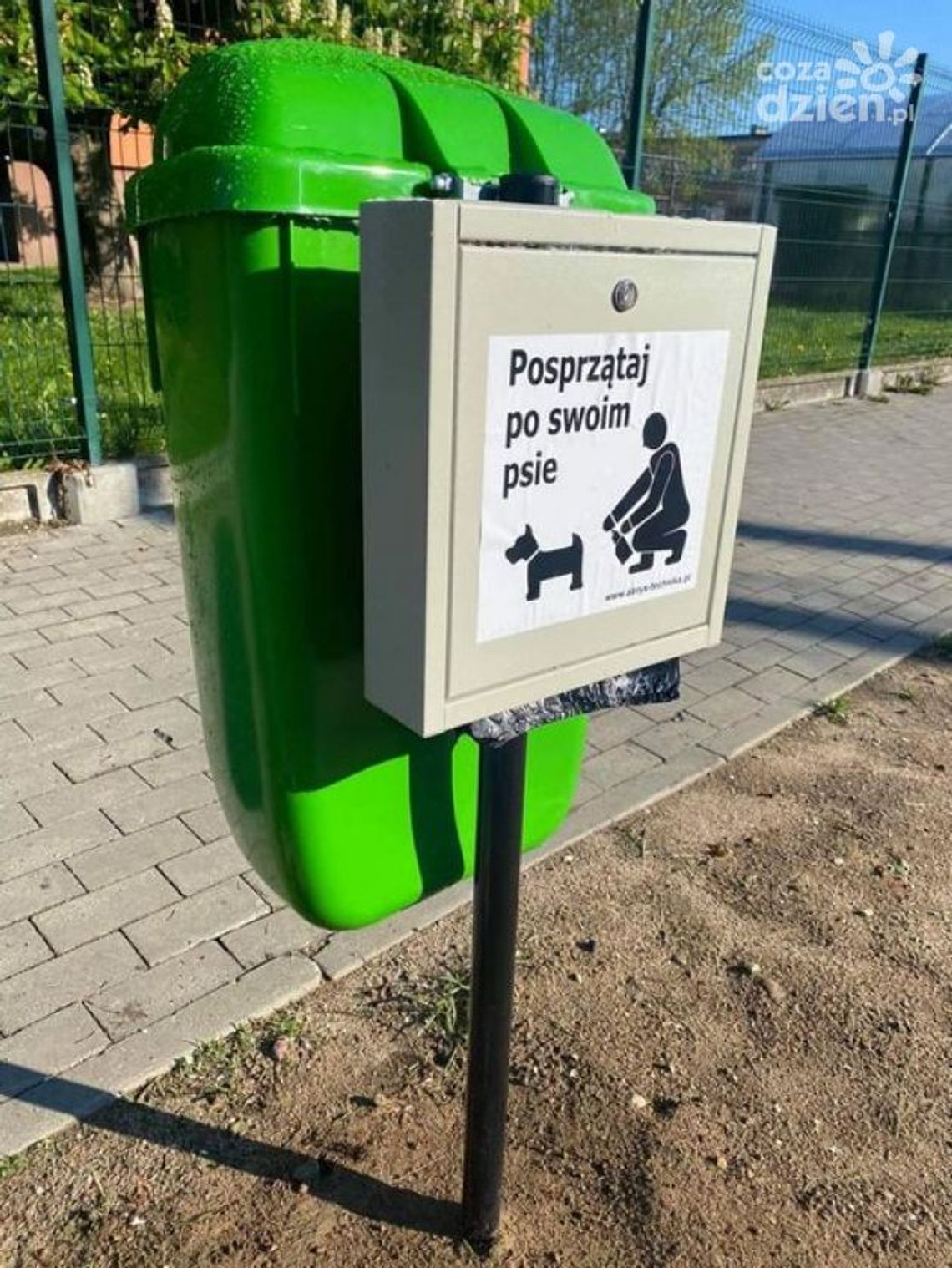 "Psie przystanki" w Przasnyszu