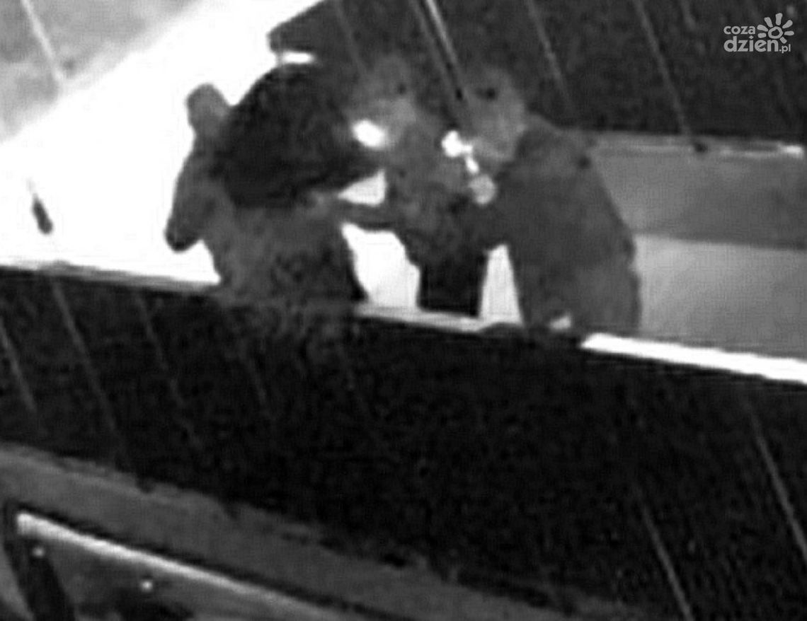 Pułtusk. Z mostu zrzucili telewizor, są w rękach policji 
