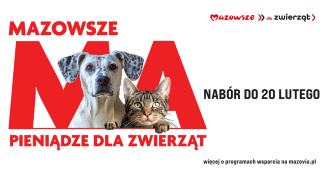 Samorząd Mazowsza pomoże bezdomnym zwierzętom
