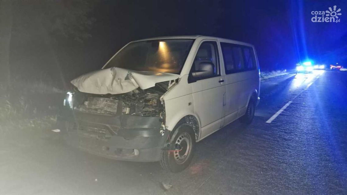 Sarna pod kołami – kolejne wypadki w powiecie makowskim