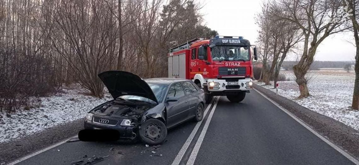 Sarna przyczyną czołówki między Ojrzeniem i Kraszewem