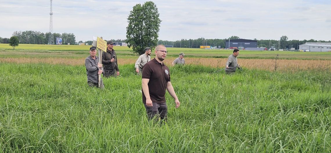 Sianokosy bez ofiar. Myśliwi i rolnicy wspólnie chronią młode zwierzęta