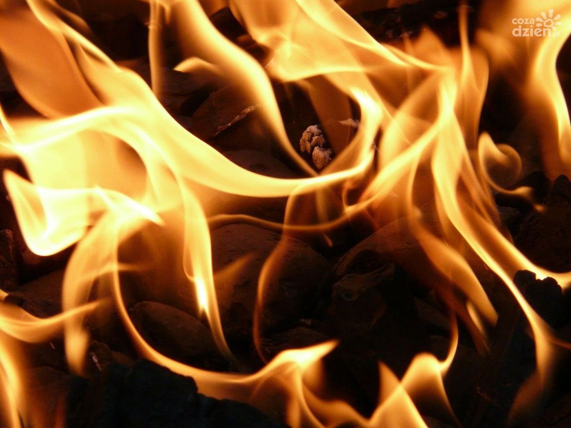 Spalarnia zwłok w Sokołówku? Wójt zdecydowanie zaprzecza