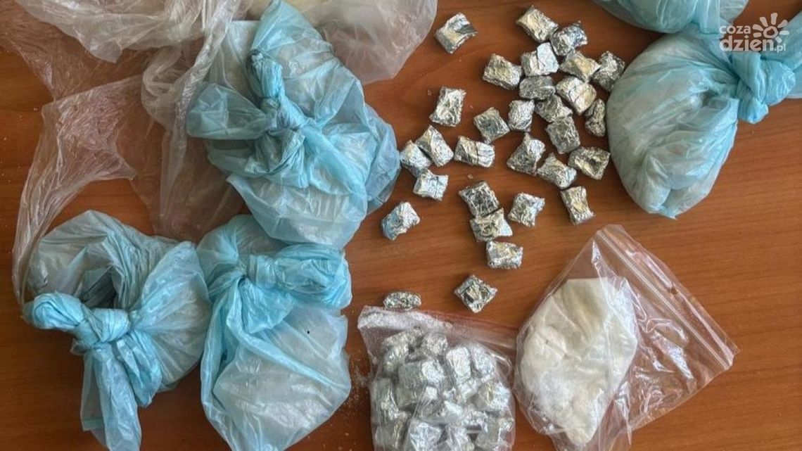 Spektakularna akcja policji w Makowie Mazowieckim – pies Rico odkrył narkotyki