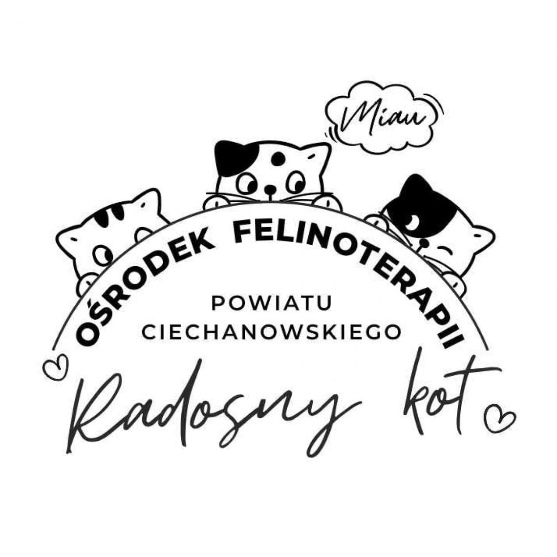 Starostwo kontra Pies i Spółka - kto ma rację?