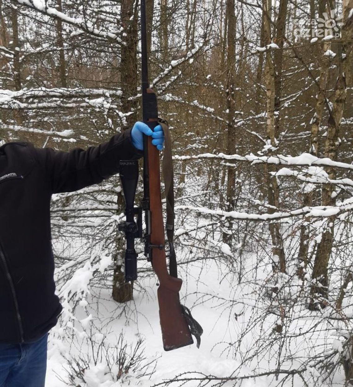 Strzały w lesie i obława