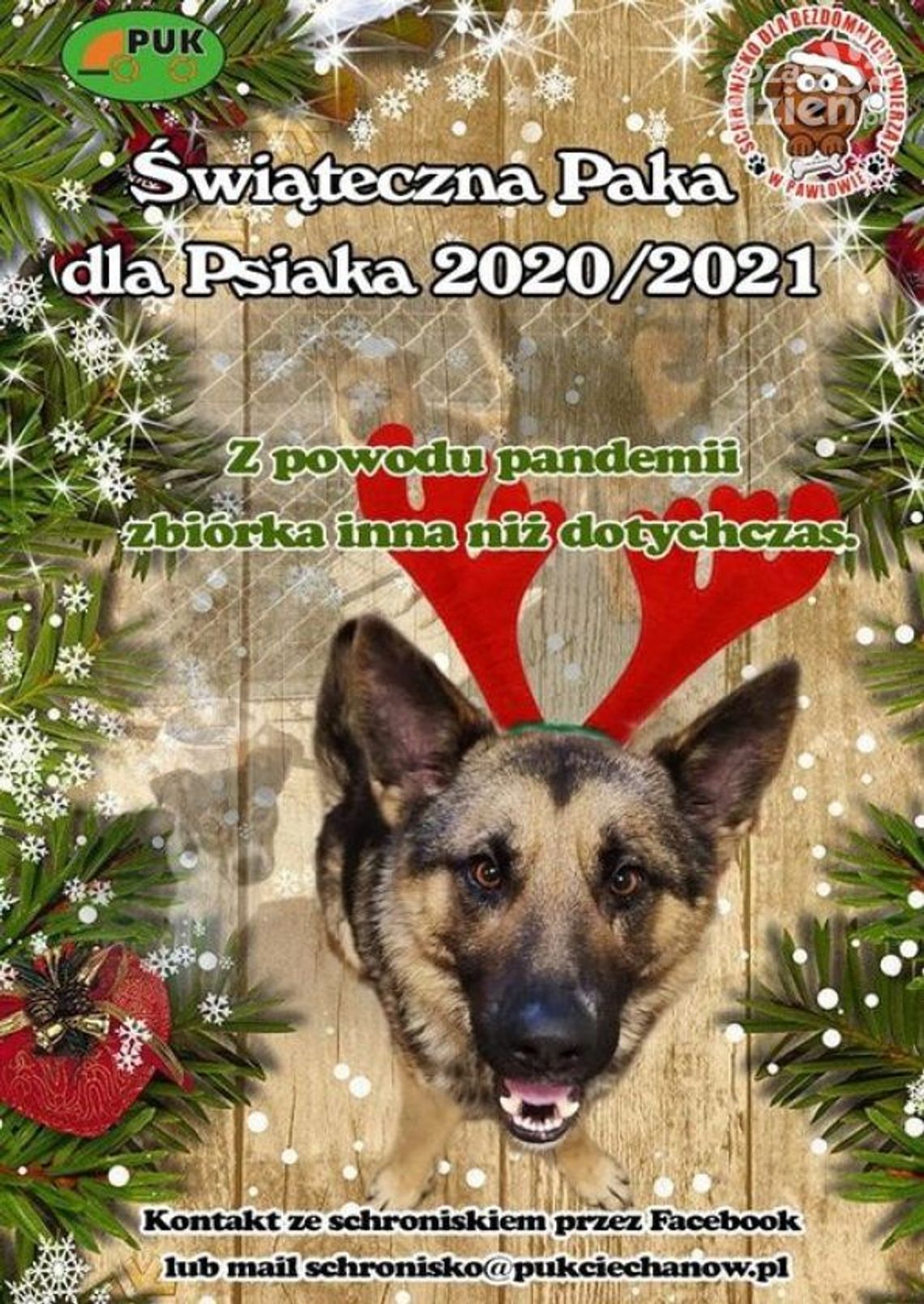 "ŚWIĄTECZNA PAKA DLA PSIAKA 2020/2021" jednak ruszyła!