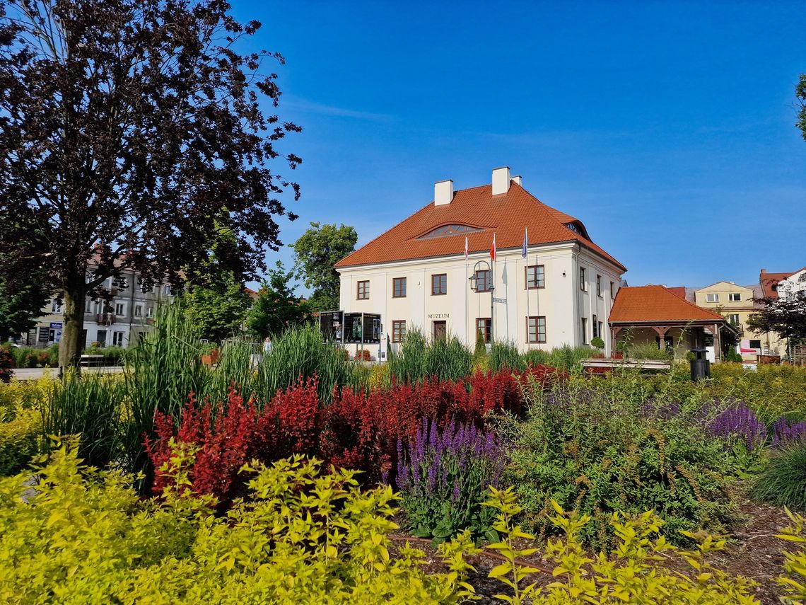 Światowy Dzień Fotografii. Weź udział w konkursie i uchwyć piękno Przasnysza!