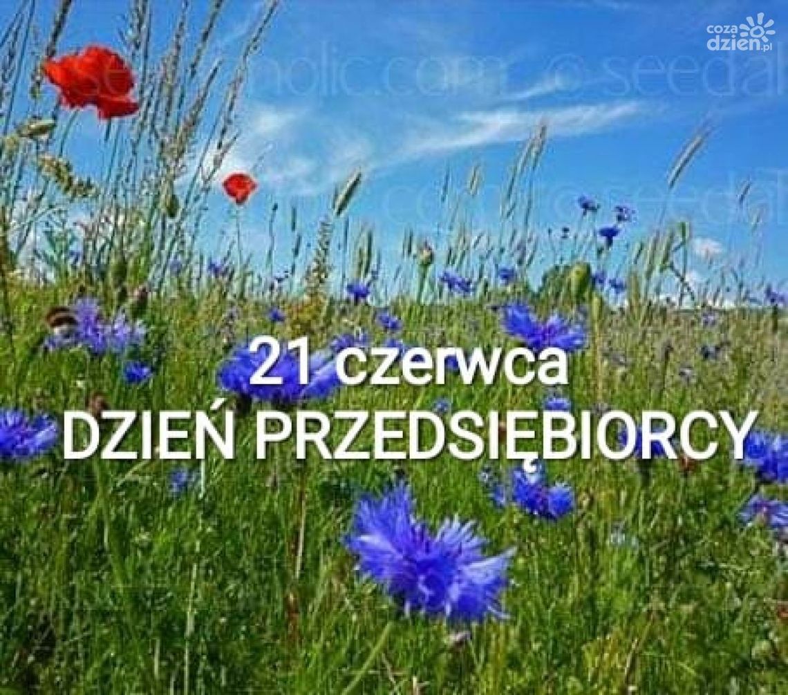 Świętuj z MIG i skorzystaj z bezpłatnych porad ekspertów