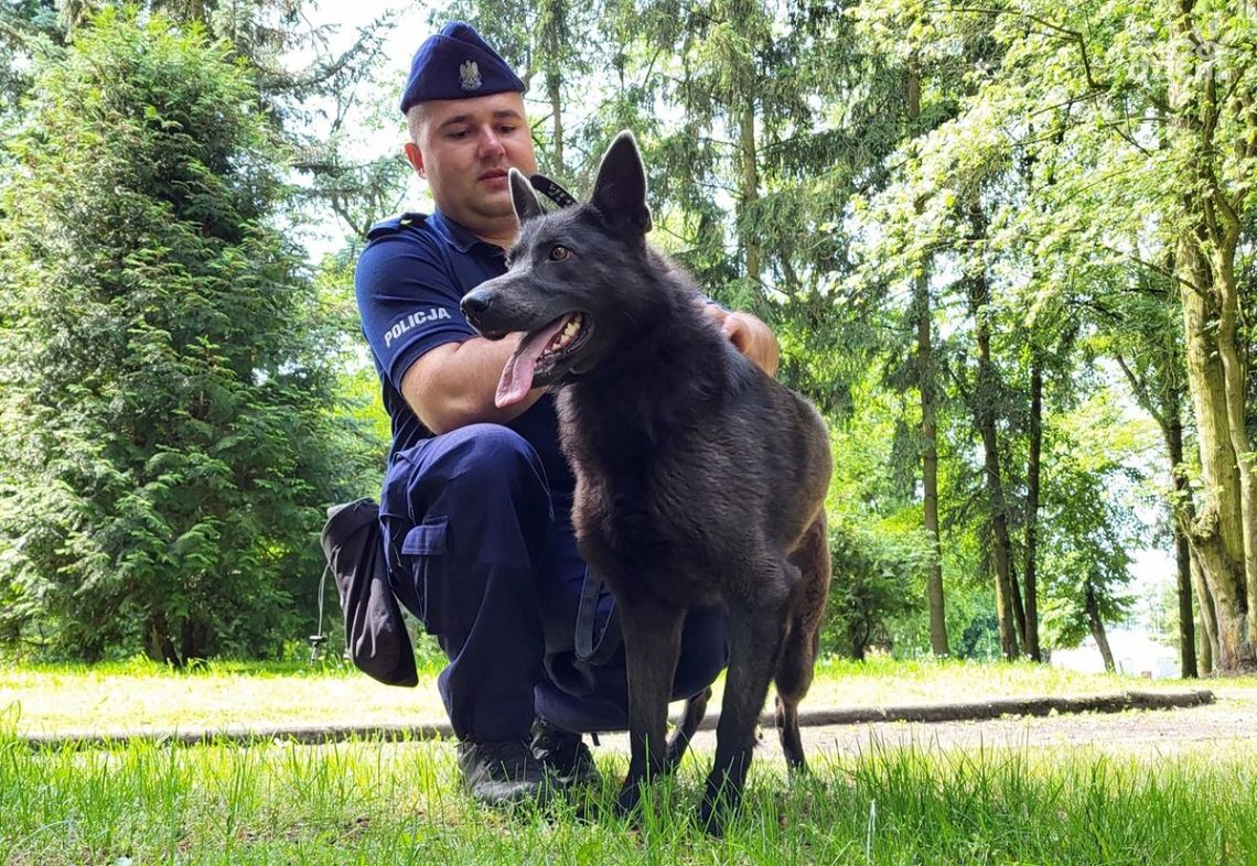 To jedyny taki pies na Mazowszu. Służy w Radomiu, ale będzie pomagał w całym garnizonie