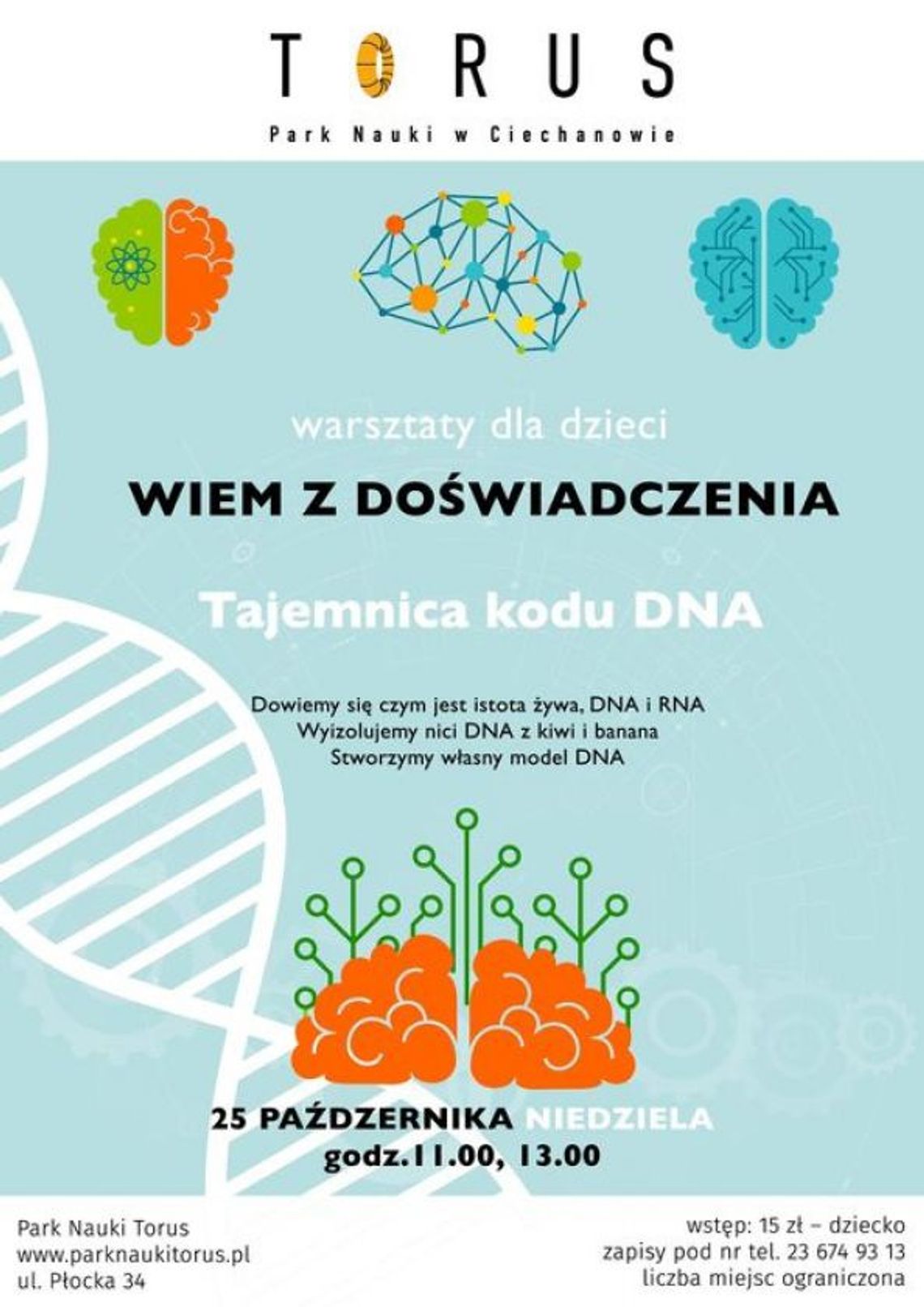 Torus odkryje tajemnicę kodu genetycznego 