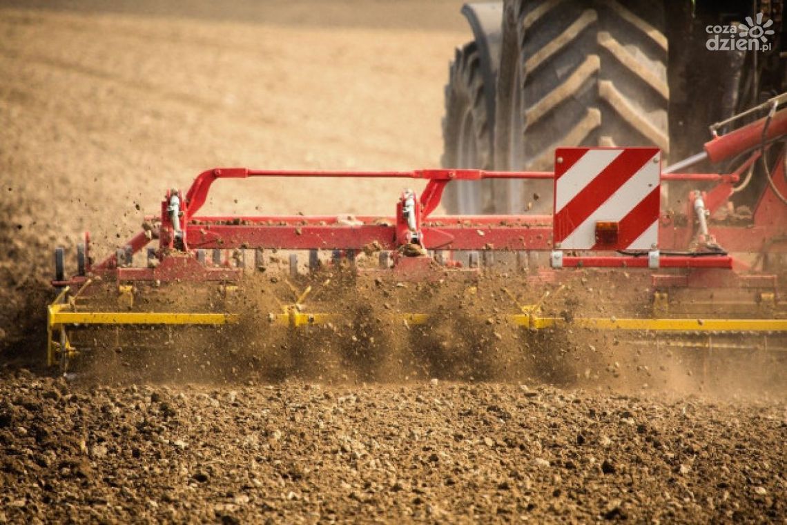 U sąsiadów. 9-latek ranny na polu