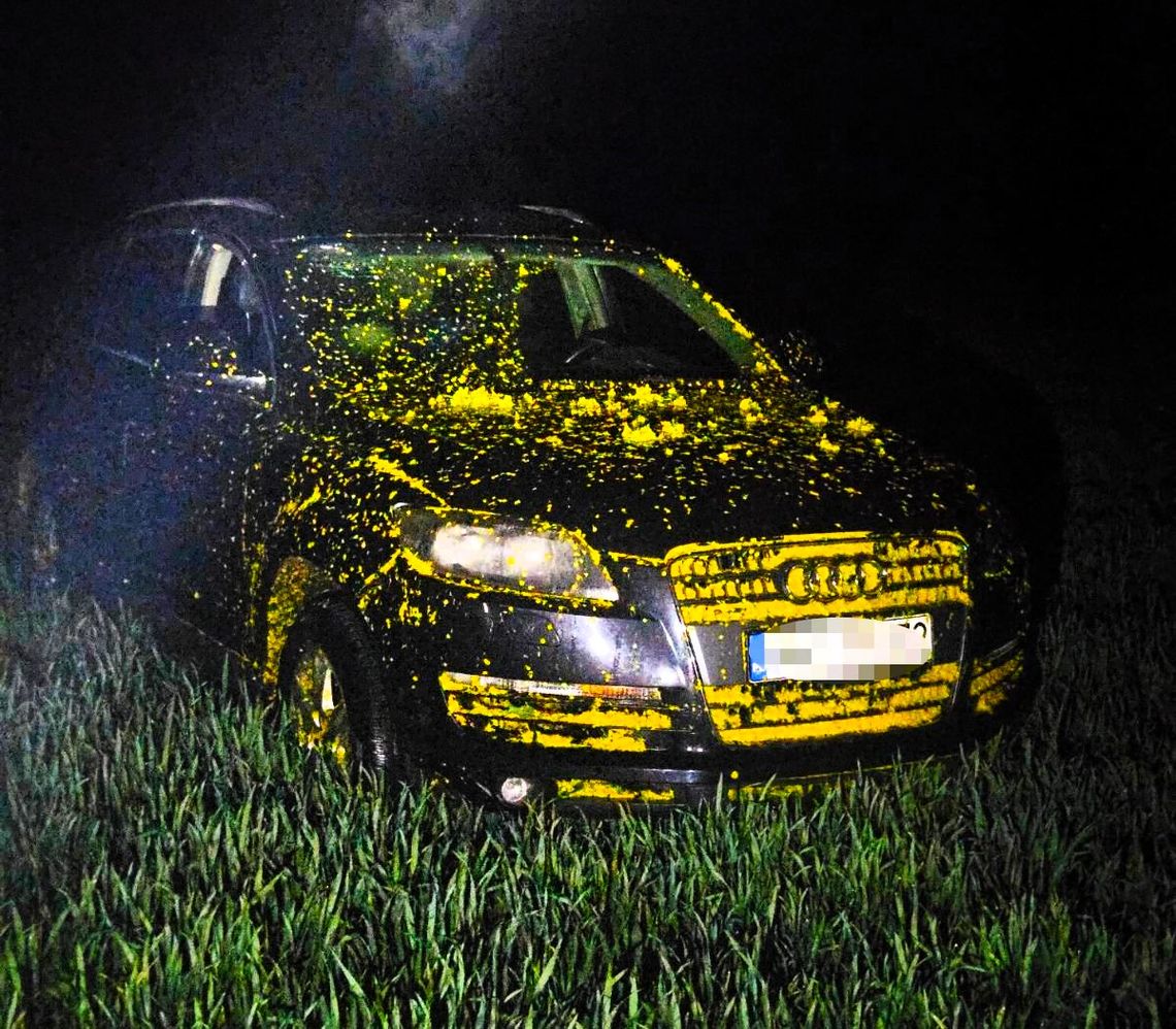 Uciekał przez pole rzepaku i porzucił auto Uciekał przez pole rzepaku i porzucił auto