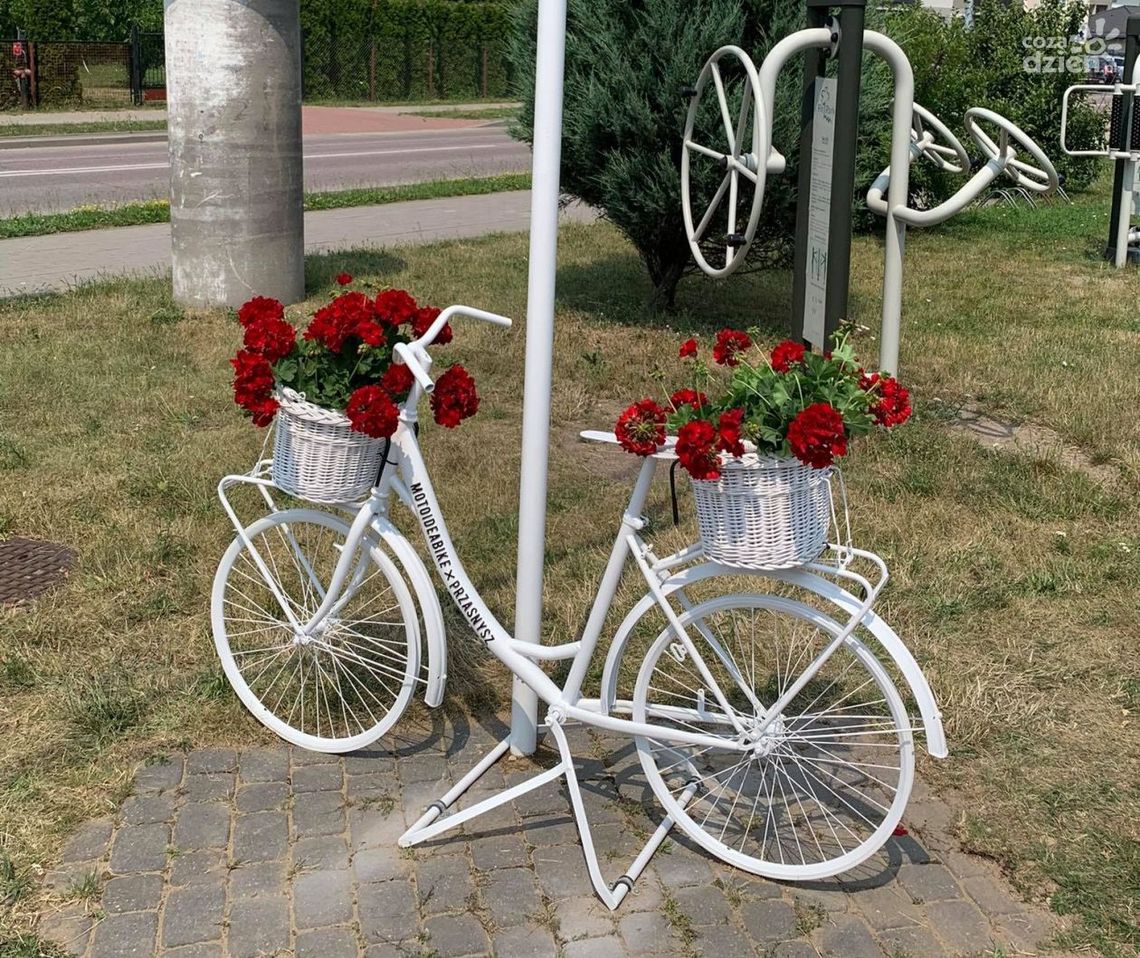 Ukwiecone rowerowe drogowskazy w Przasnyszu Ukwiecone rowerowe drogowskazy w Przasnyszu
