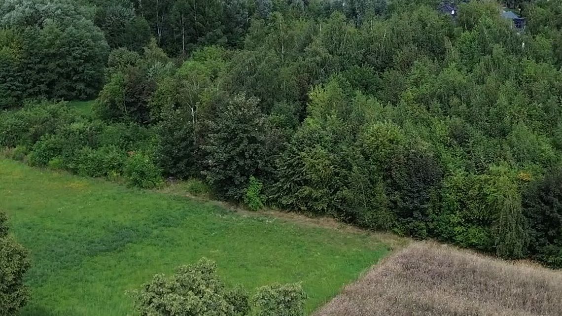 Widok z drona na zadrzewiony teren i pola w rejonie ulicy Płockiej w Ciechanowie.