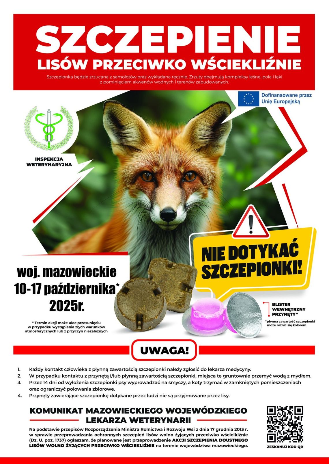 UWAGA! 10 października ruszy szczepienie lisów przeciw wściekliźnie. Nie dotykaj przynęt