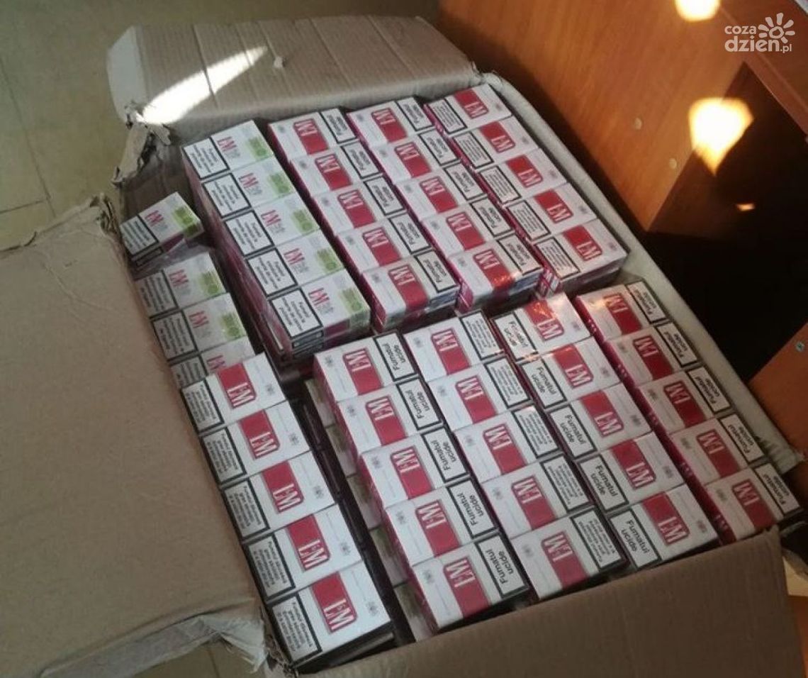 W piwnicy trzymał nielegalny towar. 38-letni ciechanowian odpowie przed sądem