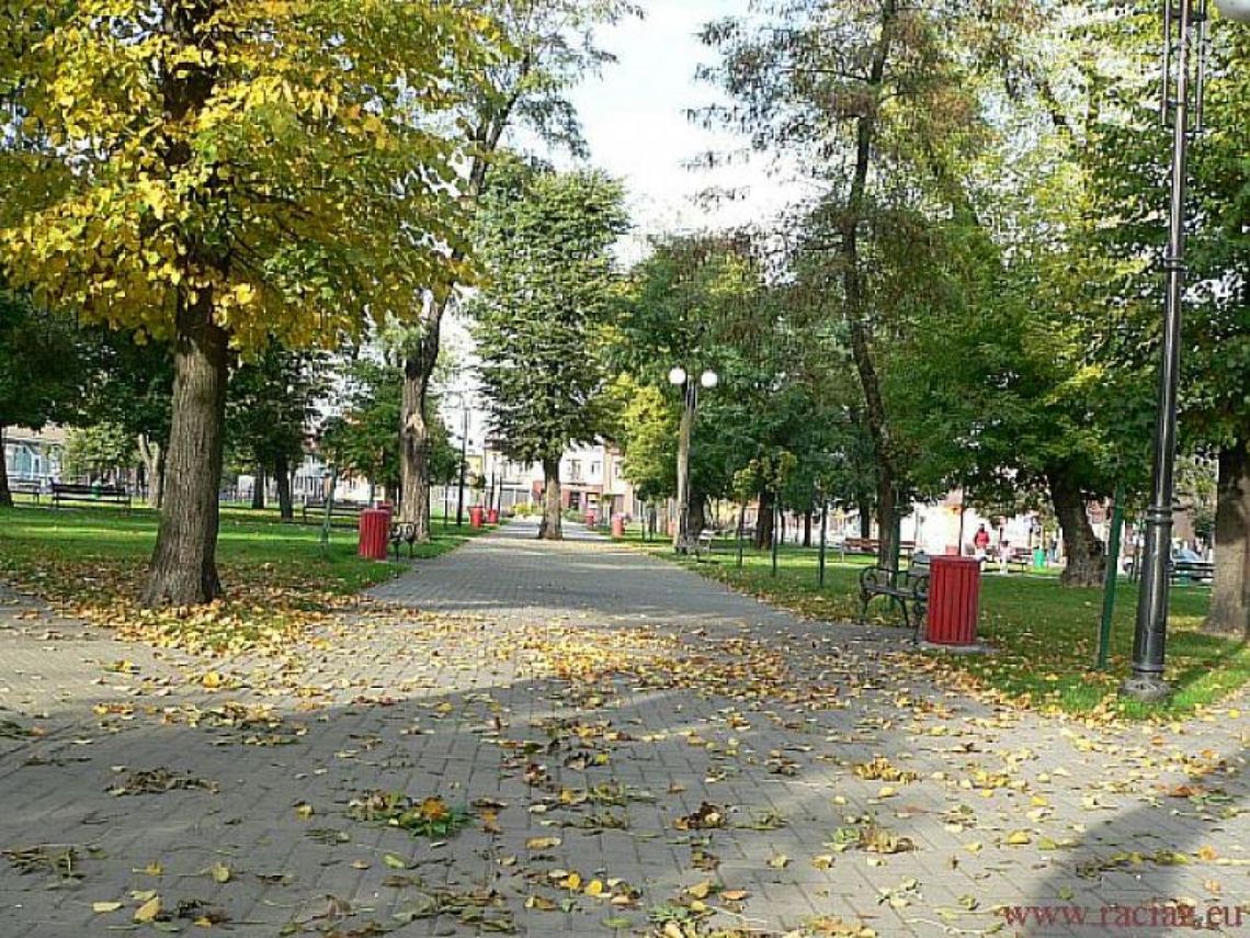 Wandale problemem Raciąża? Burmistrz komentuje
