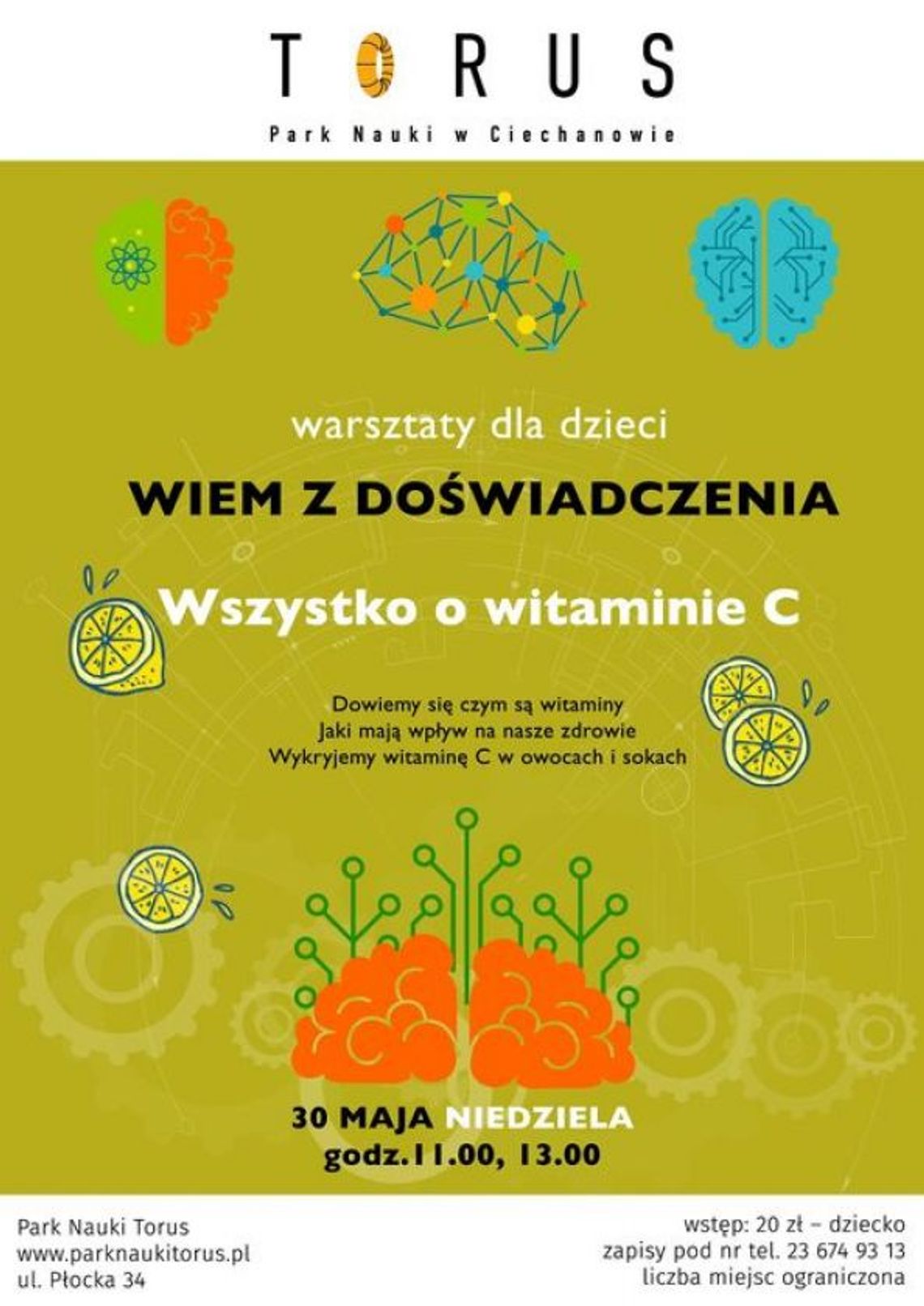 Warsztaty z cyklu "Wiem z doświadczenia" w Parku Nauki Torus.