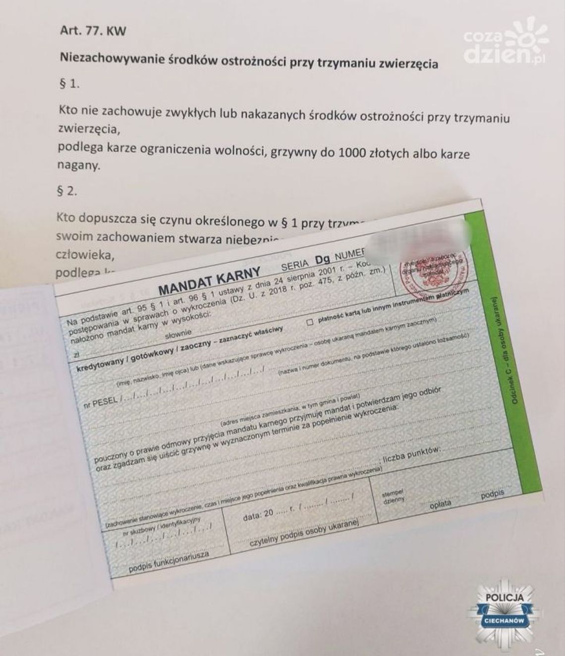 Właściciele psów muszą być świadomi swoich obowiązków