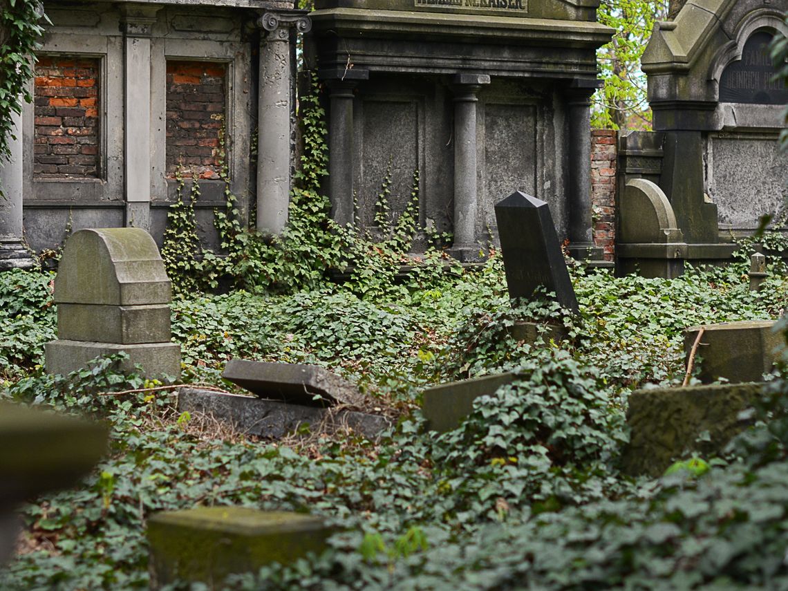 "Wolontariat Pamięci" znów w akcji. W weekend wesprzyj renowację nagrobków zasłużonych ciechowian. "Wolontariat Pamięci" znów w akcji. W weekend wesprzyj renowację nagrobków zasłużonych ciechowian.