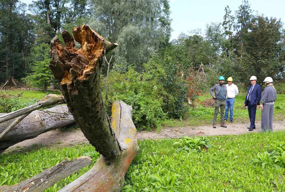 Wsparcie dla Opinogóry po nawałnicy. Wicemarszałek z deklaracją pomocy przy odbudowie parku