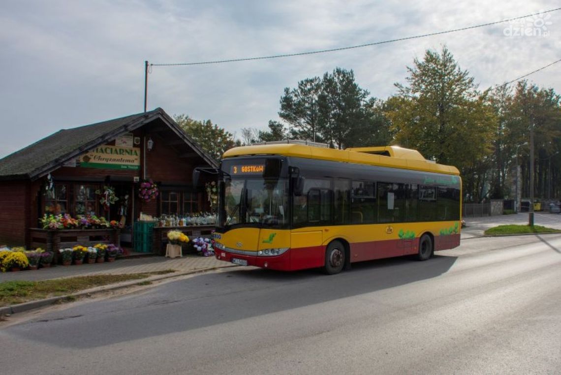 Wszystkich Świętych. Znamy rozkłady autobusów ZKM