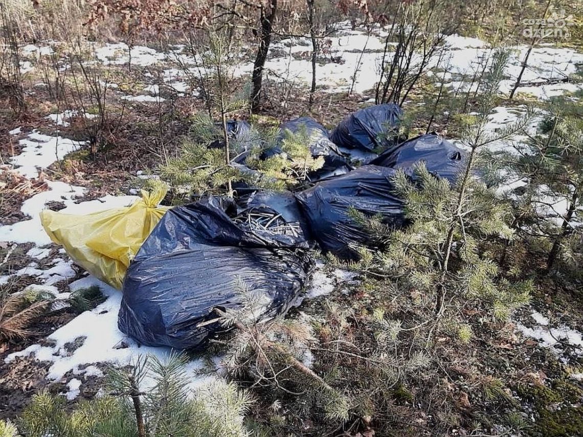 Wyrzucił do lasu gumowe osłony kabli. Zapłacił 1000 zł mandatu!