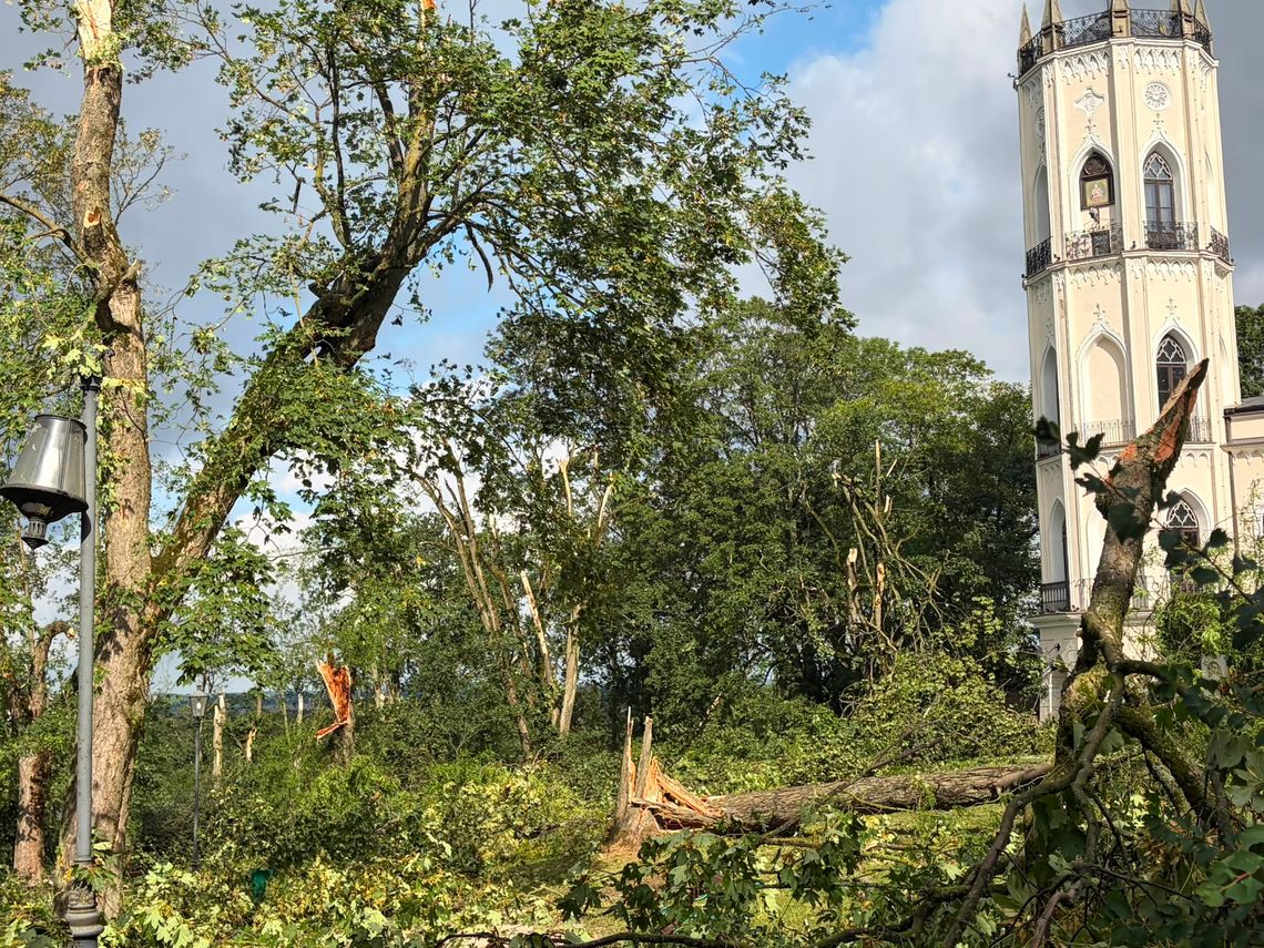 Zabytkowy park zrujnowany. Wichura powaliła dziesiątki starych drzew