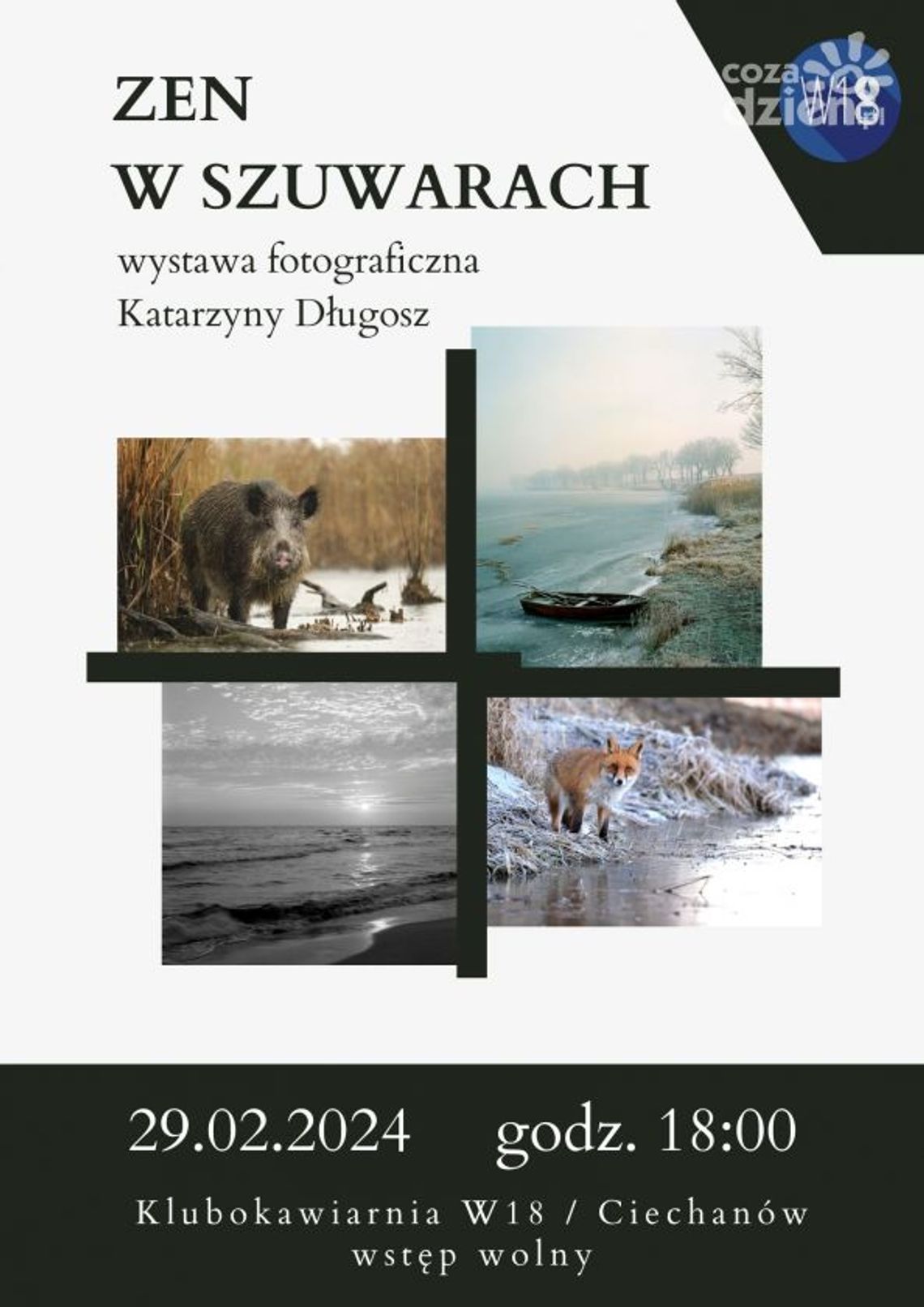 “Zen w szuwarach” - kontemplacja życia przez obiektyw Katarzyny Długosz