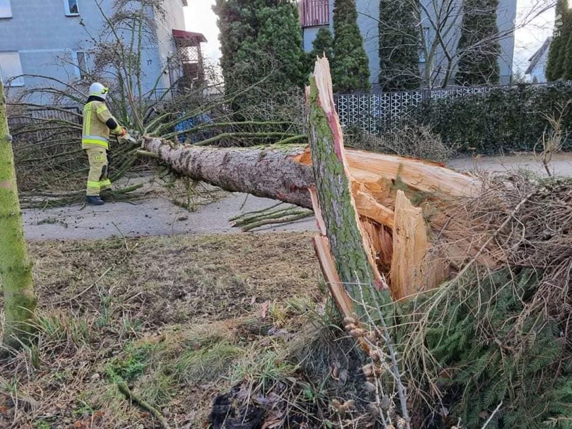 Zerwane dachy, powalone drzewa. Strażacy podsumowali weekend