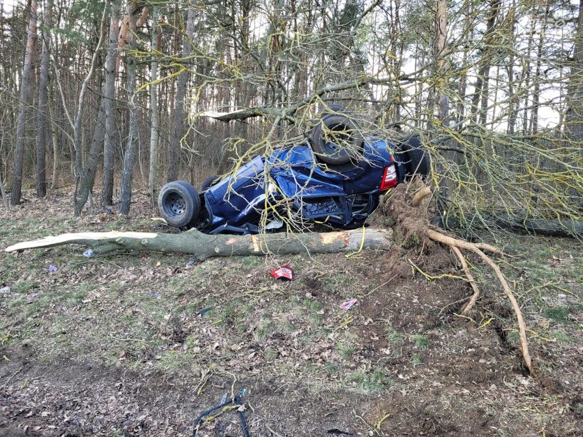 Zjechał z drogi i uderzył w drzewo. Kierowca trafił do szpitala 