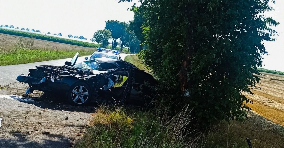Zjechał z drogi i uderzył w drzewo. Policja: Mężczyzna był nieprzytomny