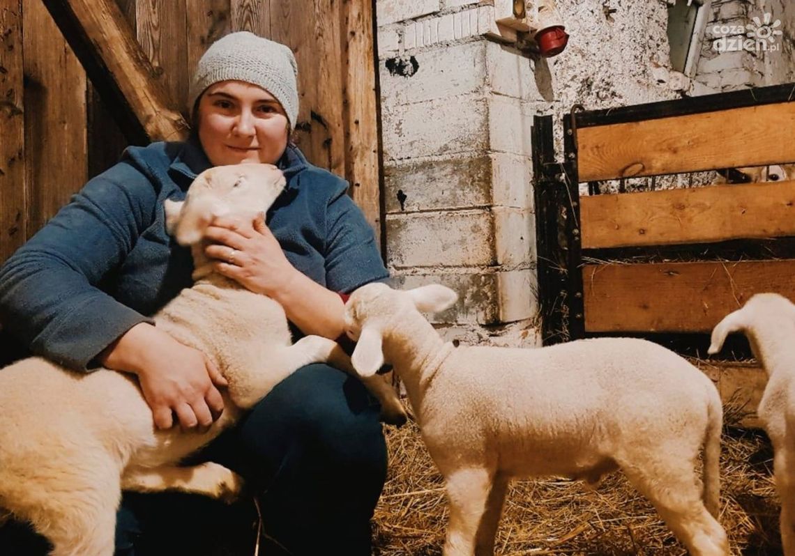Znasz Magdalenę Lewandowską i Jej owcze sery... spod Płońska?