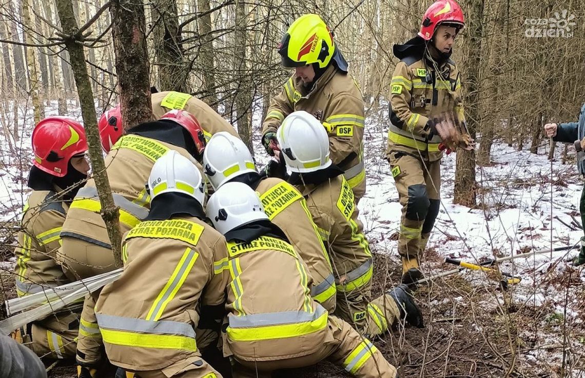 Zwierzę w niebezpieczeństwie! Pomogli ochotnicy z Ościsłowa