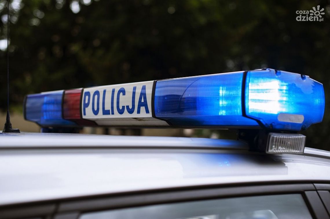 Zwłoki 4,5 latka w lesie. Ślad zaprowadził policję w okolice Ciechanowa 