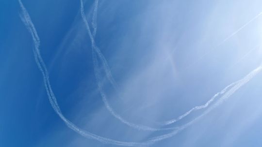 "Esy, floresy" na ciechanowskim niebie (zdjęcia)