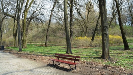 Gotowi na spacer? Nowe ławki w parku Dąbrowskiego