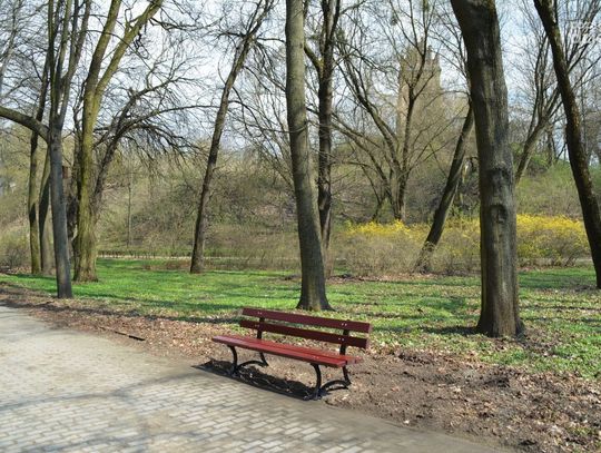 Gotowi na spacer? Nowe ławki w parku Dąbrowskiego