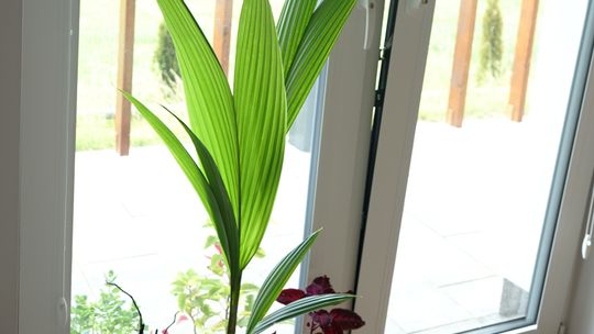 Na nudę nie można narzekać Uczestnicy nie nudza się wcale