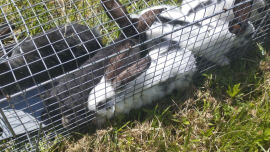 Radosław Struziński  (archiwum prywatne)