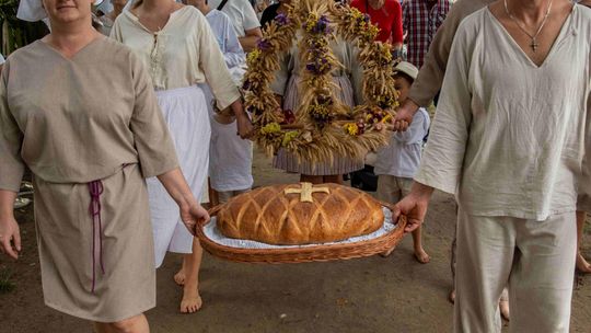 Żniwa w skansenie w Sierpcu. Zobacz, jak pracowano na wsi sto lat temu!