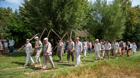 Żniwa w skansenie w Sierpcu. Zobacz, jak pracowano na wsi sto lat temu!