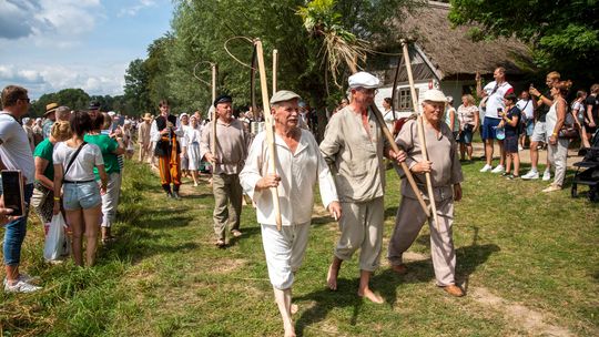 Żniwa w skansenie w Sierpcu. Zobacz, jak pracowano na wsi sto lat temu!