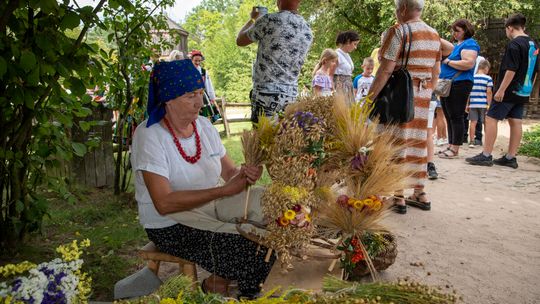 Żniwa w skansenie w Sierpcu. Zobacz, jak pracowano na wsi sto lat temu!