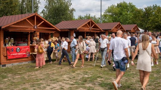 Żniwa w skansenie w Sierpcu. Zobacz, jak pracowano na wsi sto lat temu!