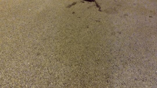 Miejsce postrzelenia mężczyzny w Ciechanowie Mężczyzna (nieoficjalnie) został postrzelony od tyłu