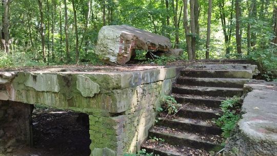 Ruiny willi Ericha kocha