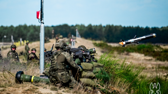 Żołnierze WOT na manewrach